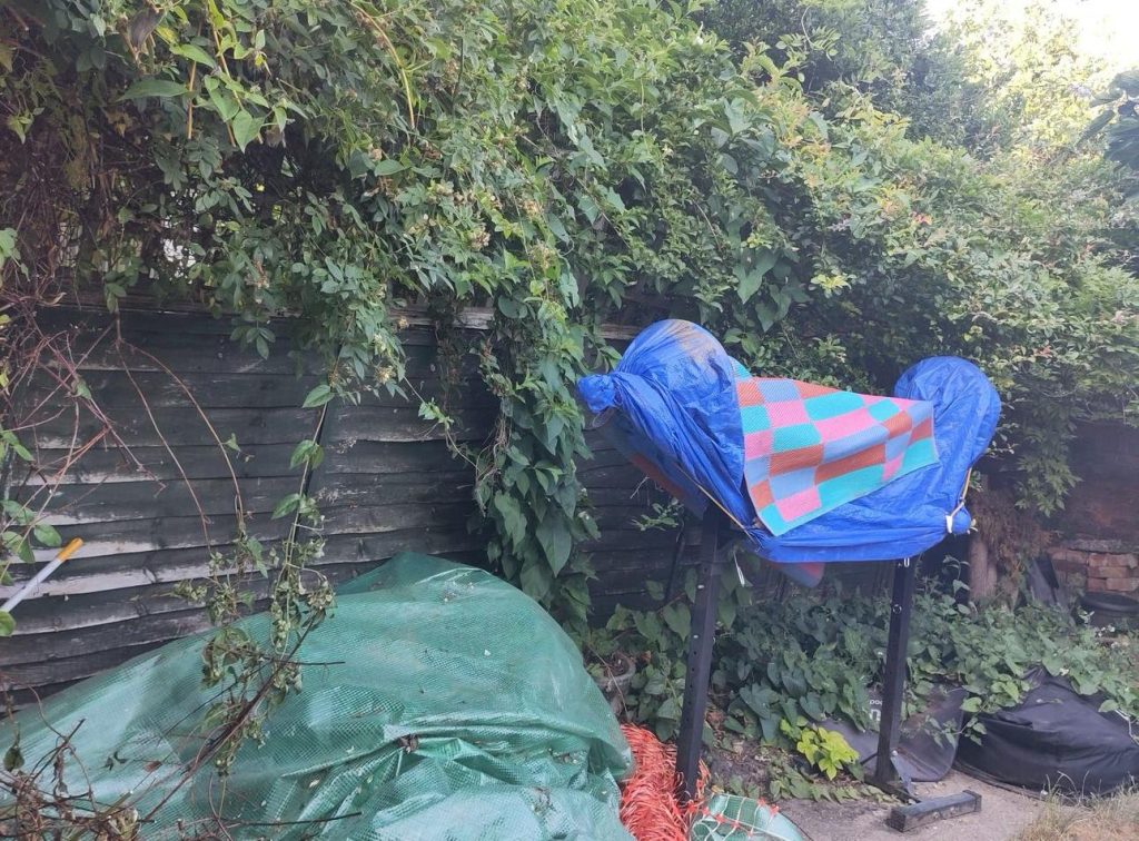 3b97f8fb-d428-4da7-a2ac-3e36043ae6f2